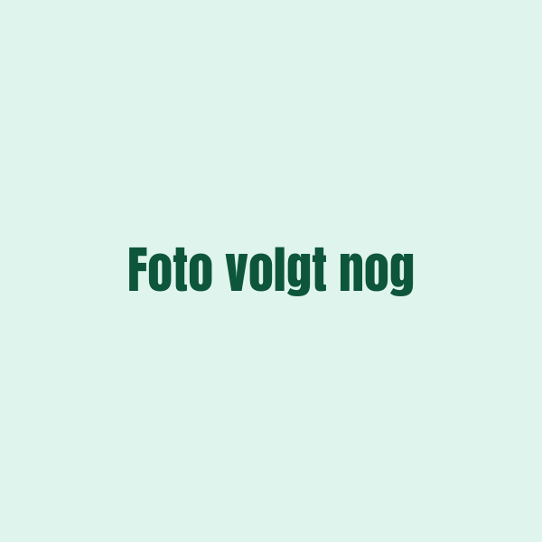 Lean Jetten